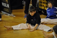 open_cro_2014_4_20140420_1394693604
