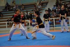 esami_2_2015_5_20150617_1545084953