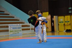 esami_2_2015_8_20150617_1428342622