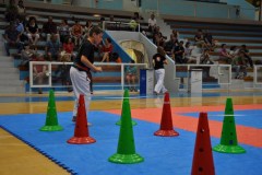 esami_2_2015_8_20150617_1864462175