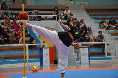 esami_2_2015_9_20150617_2041905758