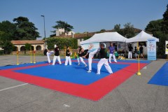 fesata_sport_2015_coni_1_20150617_1427323647