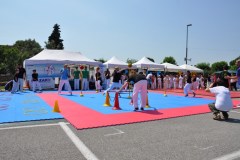 fesata_sport_2015_coni_2_20150617_1340052152