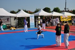 fesata_sport_2015_coni_2_20150617_1711241156