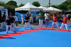 fesata_sport_2015_coni_2_20150617_1901324149