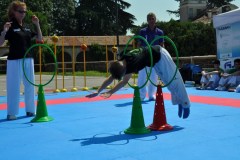 fesata_sport_2015_coni_6_20150617_1495026975
