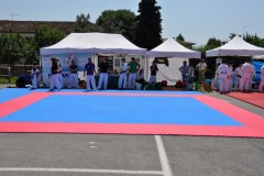 fesata_sport_2015_coni_6_20150617_1503173812