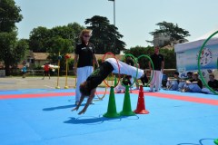 fesata_sport_2015_coni_7_20150617_1084172195