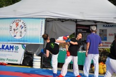 fesata_sport_2015_coni_7_20150617_1423131662