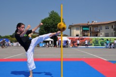 fesata_sport_2015_coni_7_20150617_1782830978