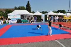 fesata_sport_2015_coni_7_20150617_1838107602