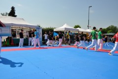 fesata_sport_2015_coni_8_20150617_1821703295