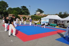 fesata_sport_2015_coni_8_20150617_1970610323