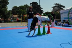 fesata_sport_2015_coni_8_20150617_2005989989