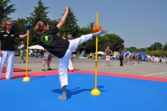 fesata_sport_2015_coni_8_20150617_2007802812