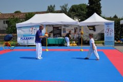 fesata_sport_2015_coni_9_20150617_1063856003