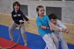 giochi_albero_14_1_20141215_1293644716