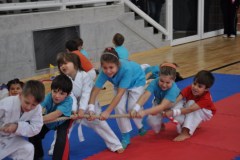 giochi_albero_14_1_20141215_1327190935