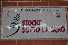 giochi_albero_14_2_20141215_1302081975
