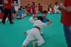 giochi_albero_14_2_20141215_1409630647