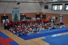 giochi_albero_14_4_20141215_1353920461