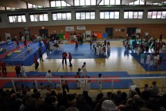 giochi_albero_14_4_20141215_1945689345