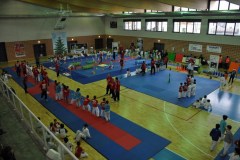 giochi_albero_14_6_20141215_1939696341