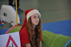 albero2015_1_20160315_1517541636