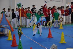 albero2015_2_20160315_1115209315