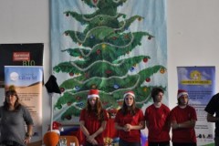 albero2015_2_20160315_1878981530