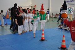 albero2015_5_20160315_2036739546