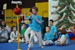 albero4_7_20131218_1588155663