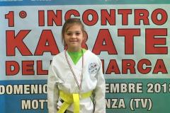 1_incontro_karate_della_marca_12_20181119_1965622027