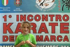 1_incontro_karate_della_marca_16_20181119_1187021169