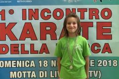 1_incontro_karate_della_marca_6_20181119_1226887819