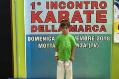 1_incontro_karate_della_marca_9_20181119_1380419050