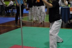 2_karate_giov_2015_1_20160120_1604905310