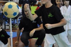2_karate_giov_2015_1_20160120_1751899953