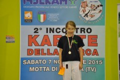 2_karate_giov_2015_1_20160120_1802054428