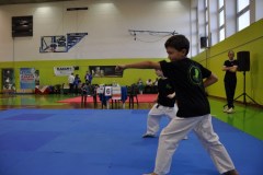 2_karate_giov_2015_1_20160120_1935029629