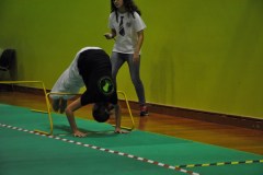 2_karate_giov_2015_2_20160120_1442765657