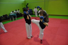2_karate_giov_2015_2_20160120_1484966790