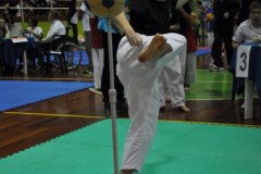 2_karate_giov_2015_2_20160120_2004108195