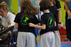 2_karate_giov_2015_3_20160120_1590765464