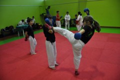 2_karate_giov_2015_3_20160120_1679010738