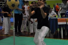 2_karate_giov_2015_3_20160120_2059068091