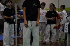 2_karate_giov_2015_4_20160120_1320812830