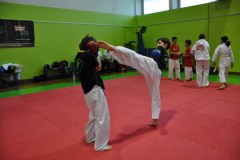 2_karate_giov_2015_4_20160120_1874874804
