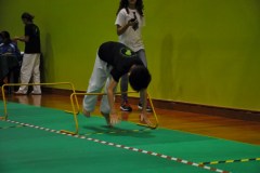 2_karate_giov_2015_5_20160120_1047284155