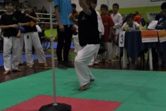 2_karate_giov_2015_6_20160120_1005722106